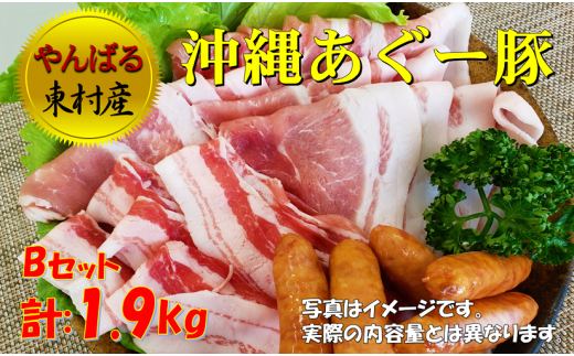 やんばる東村産 沖縄あぐー豚しゃぶしゃぶbセット 計 1 9kg 沖縄県東村 ふるさと納税 ふるさとチョイス