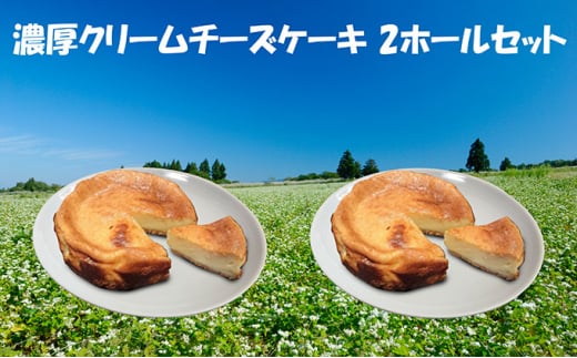 【北海道木古内町】[��5217-0119]濃厚クリームチーズのベイクドチーズケーキ　