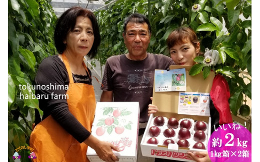 南原農園さんから直送でお届け致します!