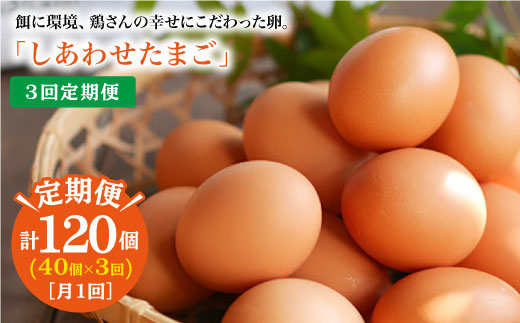 月1回40個 3回定期便 平飼い しあわせたまご 計1個 松本養鶏場 Ccd024 長崎県西海市 ふるさと納税 ふるさとチョイス