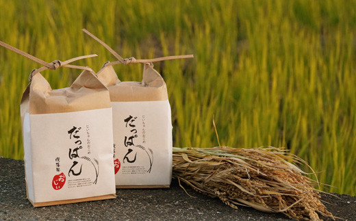 だっぱん米 龍馬脱藩の道がある村でとれたお米 にこまる 精米2kg 2袋 高知県日高村 ふるさと納税 ふるさとチョイス