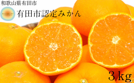 1 日本初自治体認定フルーツ 有田市認定みかん 5kg 和歌山県有田市 ふるさと納税 ふるさとチョイス