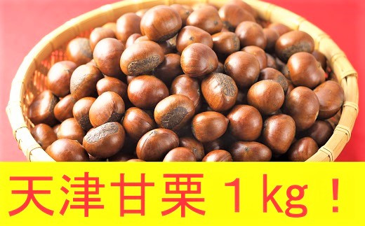 この道40年の職人が焼く、やさしい甘みたっぷりの「天津甘栗」1kg! H045-008