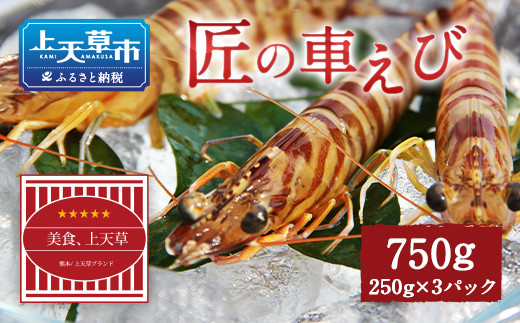 上天草ブランド認証品 匠の車えび 活き締め急速冷凍 250g 3パック 30尾 39尾 熊本県上天草市 ふるさと納税 ふるさとチョイス