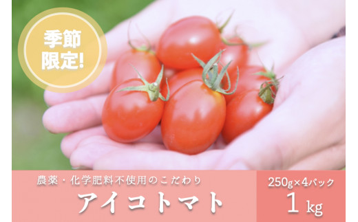 【熊本県南小国町】農薬・化学肥料不使用 河津さんの愛情たっぷりアイコトマト １�s
