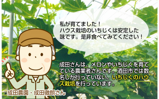 Sa0564 ハウス栽培 いちじく 山形県酒田市 ふるさと納税 ふるさとチョイス