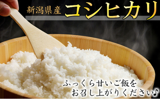 yVVszJKL_ VY ʍ͔| RVqJ 5kg     R   Ђ V Vʍ͔|_YF؎擾 V