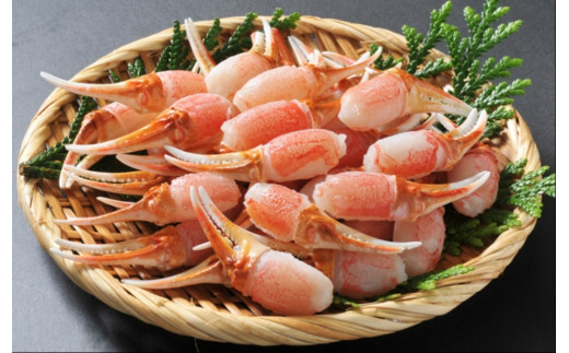 9 生ずわい蟹 カニ爪肉 約1 0kg 約500g 2 11 大阪府阪南市 ふるさと納税 ふるさとチョイス