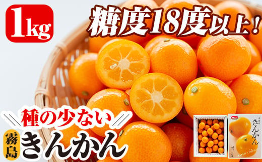 A 085 先行予約受付中 21年1月10日 2月10日の間に発送予定 種の少ない霧島きんかん 約1kg 糖度18度以上の皮ごと食べられる金柑 冬のフルーツキンカン さくら農園 鹿児島県霧島市 ふるさと納税 ふるさとチョイス