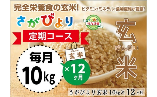 定期便12ヶ月 10年連続最高評価特a受賞米 さがびより玄米10kg H 佐賀県神埼市 ふるさと納税 ふるさとチョイス