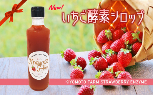 Bl3 いちご酵素シロップ 熊本玉名産ゆうべに100 使用 280ml 1本 熊本県玉名市 ふるさと納税 ふるさとチョイス