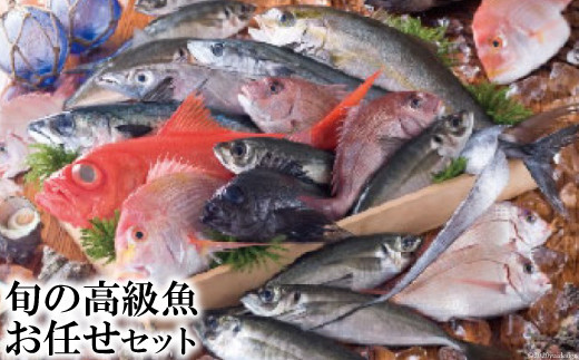 旬の高級魚お任せセット [田中鮮魚店 長崎県 雲仙市 item0253] - 長崎県雲仙市｜ふるさとチョイス - ふるさと納税サイト