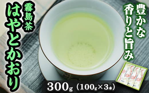 A-019 霧島茶 はやとかおり 雅 詰合せ(100g×3本)【マル竹園製茶】霧島市 緑茶 茶葉 お茶 日本茶 - 鹿児島県霧島市｜ふるさとチョイス  - ふるさと納税サイト