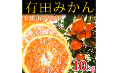 有田みかん 10kgの人気商品 通販 価格比較 価格 Com 有田みかん 10kgの人気商品 通販 価格比較 価格 Com