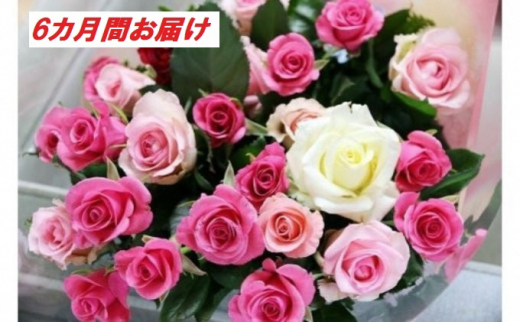 5672 0426 本 6カ月 生産者直送 有機栽培で育った朝切りバラの花束 花の定期便 埼玉県白岡市 ふるさと納税 ふるさとチョイス