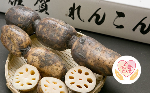 泥付き蓮根 3kg