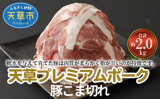 yF{VszS058-021_Vv~A|[N ؂ܐ؂ 2.0kg(500g×4pbN)