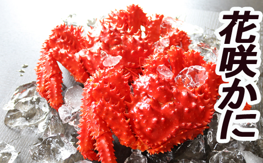 ykCszD-36007y12/21܂ŔNzz ykCYzԍ炩400`600g×10