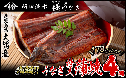 B5 ００４ 楠田の極うなぎ蒲焼き 大 ４尾 鹿児島県志布志市 ふるさと納税 ふるさとチョイス