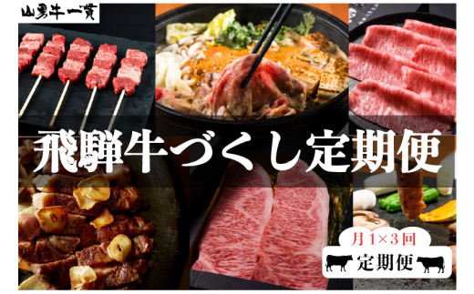 数量限定】飛騨牛 定期便 3回3か月 焼肉 牛串 ステーキ すき焼き