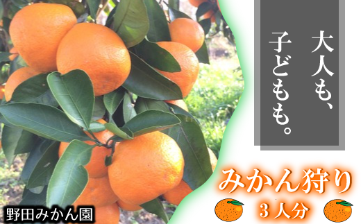 001 千葉県野田市産みかんの収穫体験 3人分 千葉県野田市 ふるさと納税 ふるさとチョイス