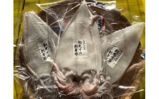 A 172 剣先イカ刺身セット 600ｇ 長崎県対馬市 ふるさと納税 ふるさとチョイス