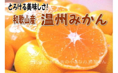 みかん 10kg 箱の人気商品 通販 価格比較 価格 Com みかん 10kg 箱の人気商品 通販 価格比較 価格 Com