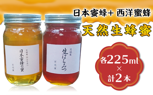 天然生蜂蜜（日本蜜蜂と西洋蜜蜂）【ハチミツ 蜂蜜 はちみつ 生蜂蜜 蜂 お菓子 瓶タイプ 砂糖 甘い 濃厚】 - 茨城県下妻市｜ふるさとチョイス -  ふるさと納税サイト