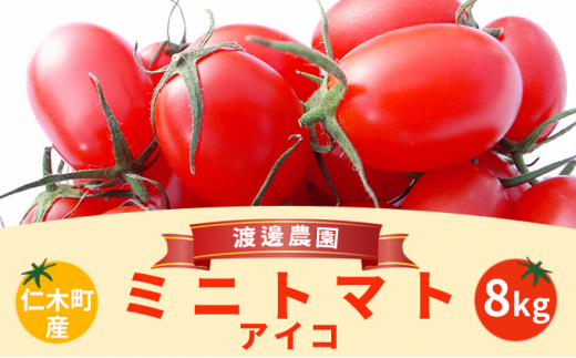 ミニトマト 箱 - トマトの人気商品・通販・価格比較 - 価格.com