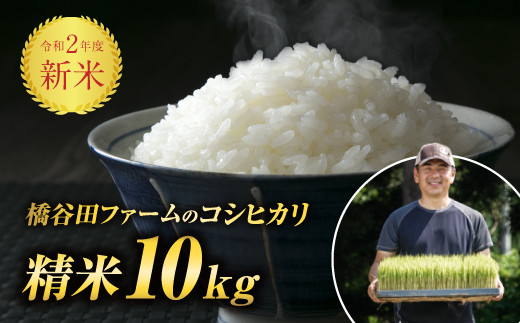 令和2年度新米 コシヒカリ 精米 10kg