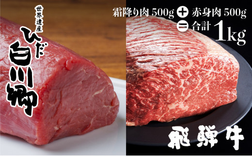 飛騨牛ブロック 塊 霜降り肉 赤身肉 500g 2 合計1kg 食べ比べ ブロック肉 セット 真空パック 黒毛和牛 肉 御中元 夏ギフト バーベキュー q キャンプ ローストビーフ S090 岐阜県白川村 ふるさと納税 ふるさとチョイス