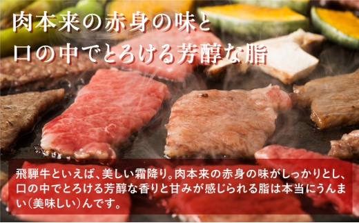 飛騨牛ごちゃまぜミックス 焼肉用 500g もも肉 ロース 肩ロース 敬老の日 お歳暮 S092 岐阜県白川村 ふるさと納税 ふるさとチョイス