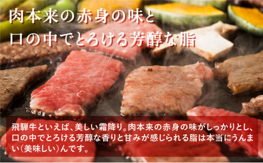 飛騨牛ブロック 塊 霜降り肉 赤身肉 500g 2 合計1kg 食べ比べ ブロック肉 セット 真空パック 黒毛和牛 肉 御中元 夏ギフト バーベキュー q キャンプ ローストビーフ S090 岐阜県白川村 ふるさと納税 ふるさとチョイス