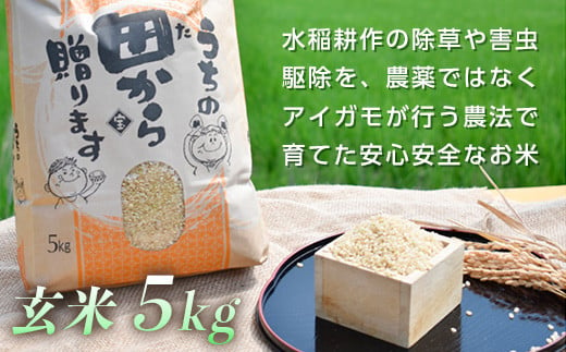 B010-029017]令和5年産 アイガモ農法 コシヒカリ玄米 5kg - 熊本県南