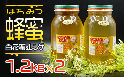 蜂蜜レンゲ蜜１.２ｋｇ、百花蜜１.２ｋｇセット K2   福岡県赤村