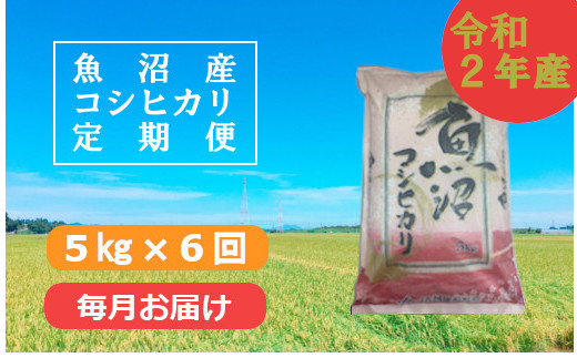 魚沼産コシヒカリ定期便 5kg 6回 毎月お届け Ja越後おぢや 新潟県小千谷市 ふるさと納税 ふるさとチョイス