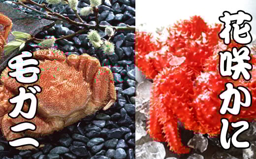 ykCszD-36037y12/21܂ŔNzz тɁEԍ炩ɃZbg