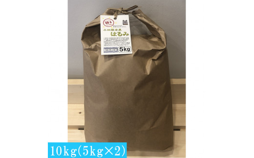 志村屋米穀店 令和5年産新米小田原市産　はるみ　10kg（5kgｘ2）＜出荷時期：10月中旬より順次出荷開始＞