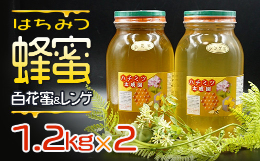 ふるさと納税 蜂蜜（レンゲ蜜１.２ｋｇ、百花蜜１.２ｋｇ）セット K2