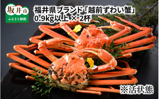 y䌧szys\z䌧uh 䥂ŁuzOYCIv 0.9kgȏ 2t y2026N2z [O-1404_02]