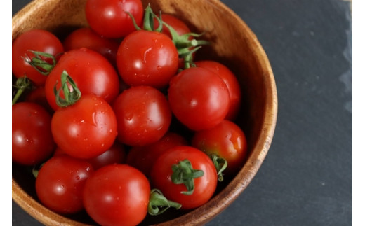 ミニトマト 1kgの人気商品 通販 価格比較 価格 Com