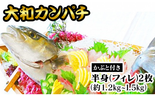 ふるさと納税 「大和カンパチ」　半身（フィレ）約1.2kg〜1.5kg×2枚　かぶと付き　N072-ZD063 宮崎県延岡市 大和ｶﾝﾊﾟﾁ半身(ﾌｨﾚ)約1.2kg～1.5kg×2枚かぶと付き N072-YD0192 - 宮崎