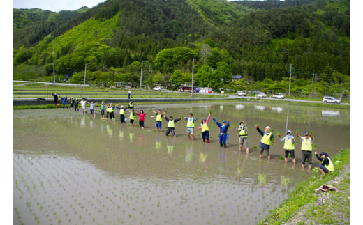 年11月より発送 思いやり型返礼品 奇跡の米 大槌復興米 10キロ 岩手県大槌町 ふるさと納税 ふるさとチョイス