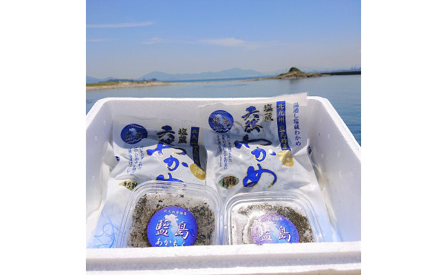 北九州 藍島産 海藻 セット 天然わかめ あかもく 計720g 肉厚 - 福岡県