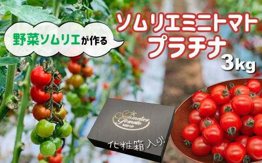 最新情報 レッドアップ」｜野菜 【6月末終】ソムリエミニトマト