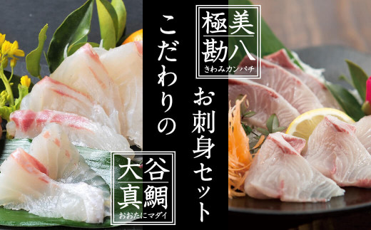 ブランド魚 カンパチとマダイのお刺身セット 無添加ソース ぬた 付き 高知県須崎市 ふるさと納税 ふるさとチョイス