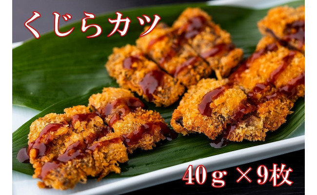 ゆず庵名物 くじらカツ 40g 9枚 高知県南国市 ふるさと納税 ふるさとチョイス