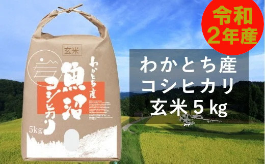 日本一のブランド米「魚沼産コシヒカリ」玄米