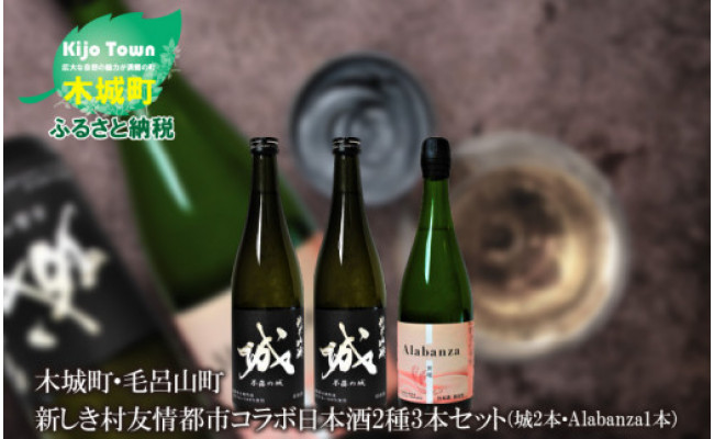 木城町・毛呂山町 新しき村友情都市コラボ日本酒２種３本セット（城２本・Alabanza１本）＞ - 木城町木城町 | ふるさと納税 [ふるさとチョイス]