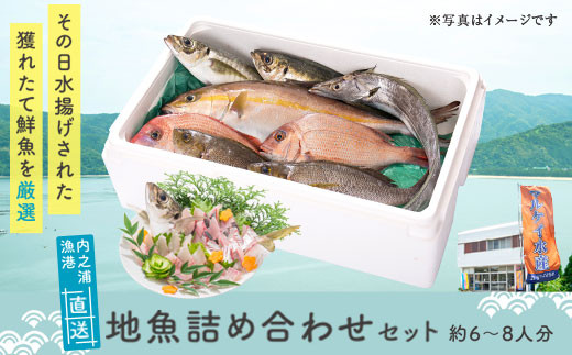 C09001 地魚詰め合わせセット(約6～8人分) 【マルケイ水産】